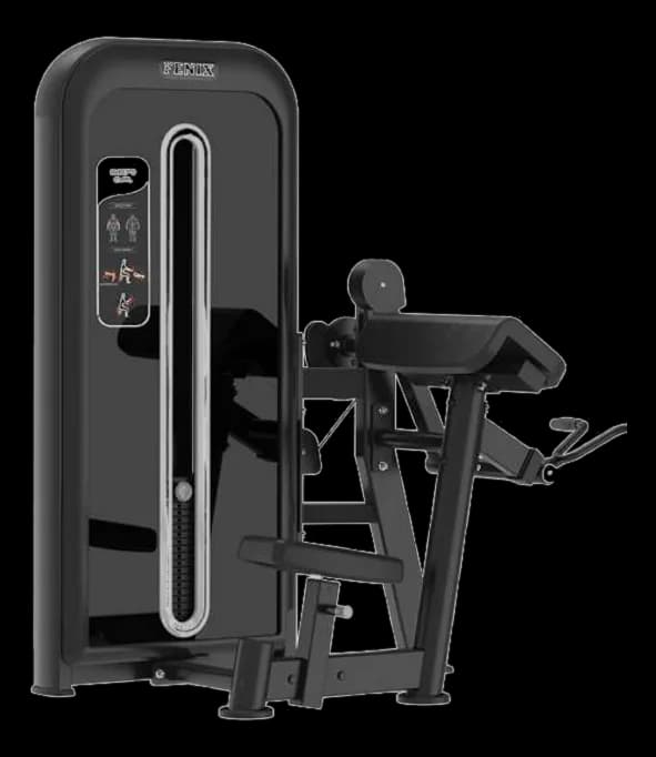Bicep Curl — Pin Loaded commercial gym machine by New Era Fitness