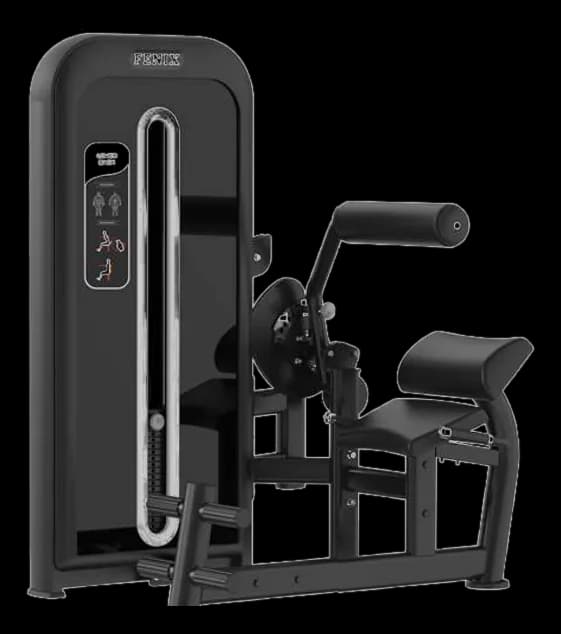 Lower Back — Pin Loaded commercial gym machine by New Era Fitness