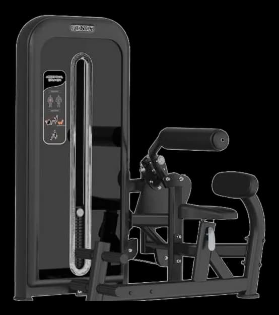 Lower Back — Pin Loaded commercial gym machine by New Era Fitness
