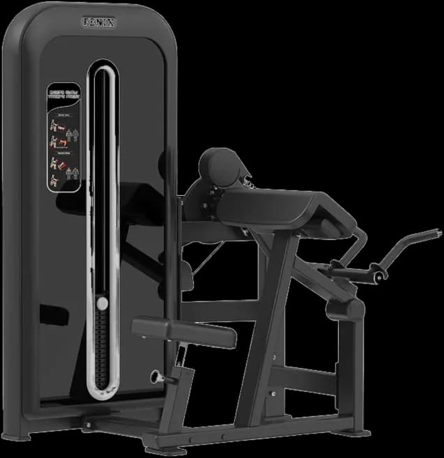 Bicep / Tricep — Pin Loaded commercial gym machine by New Era Fitness
