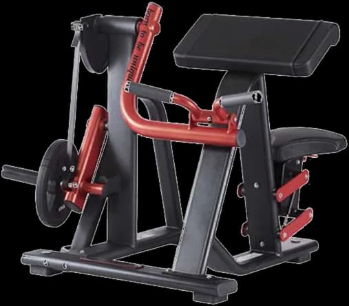 Bicep Curl — Plate Loaded commercial gym machine by New Era Fitness