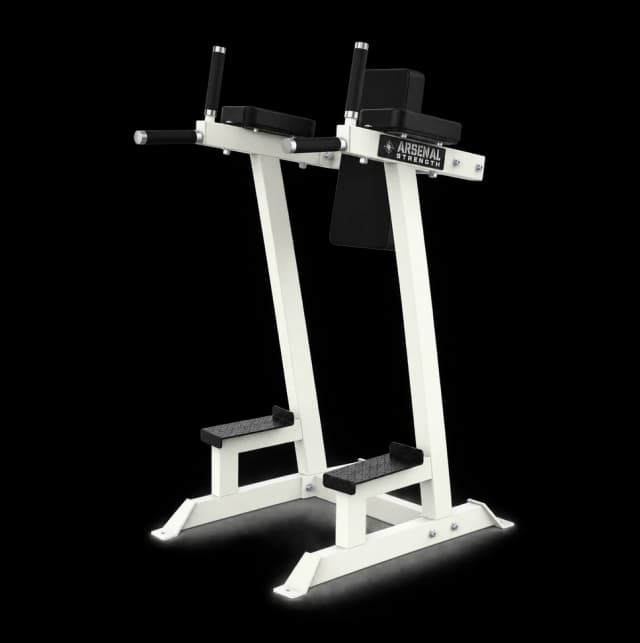 Arsenal Alpha Vertical Knee Raise / Dip Station — Racks & Benches commercial gym equipment